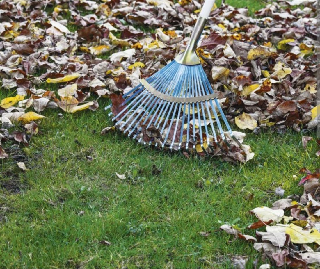 Zusammengetragenes Laub bei Aufräumarbeiten im Garten